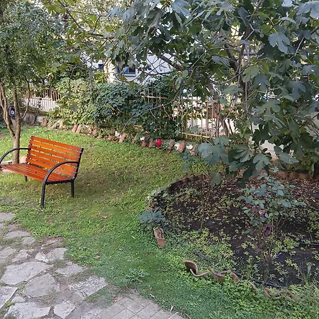 Apartamento Orhideya *